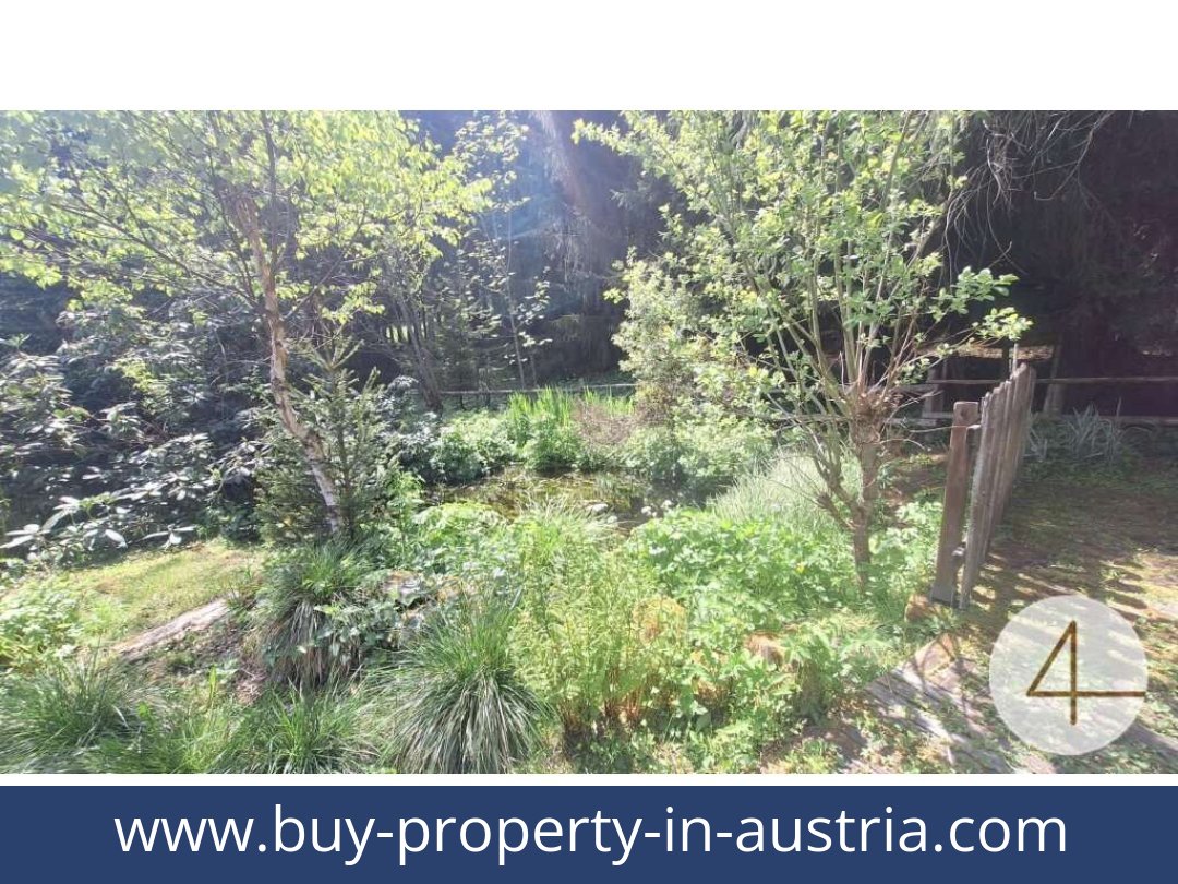 buy-property-in-austria-sankt lambrecht-8813-20250911221734-0009901014.jpg